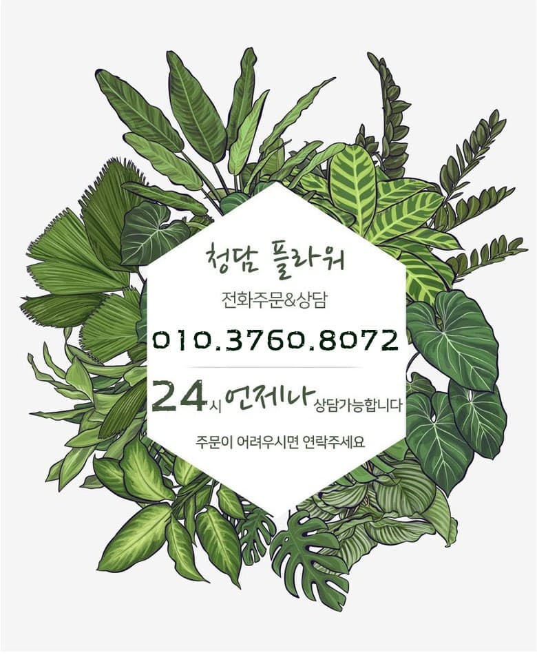 청담플라워 판매자샵 대표이미지